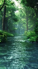 morning in the woods
