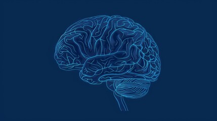 Design a detailed image of the human brain with a solid dark blue background. The brain should include visible lobes and intricate details of the cerebral cortex, using subtle shadows to add depth.