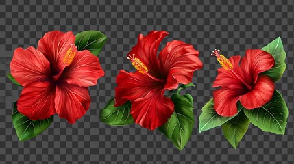 Set of vibrant red hibiscus flowers with lush green leaves, isolated on a transparent background