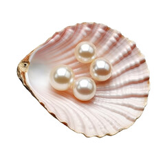 Isolated Shell with Three Lustrous Pearls Without Background.