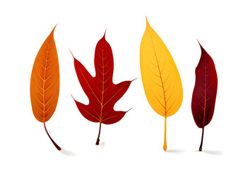 Artistic Alphabet Collage