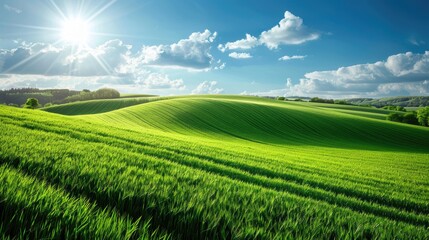 Obraz premium Rolling green fields with a bright blue sky, providing a peaceful and beautiful backdrop for wallpaper