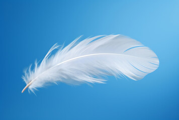 Obraz premium A white feather floats in the air against a blue sky, its spare and elegant brushwork, personal iconography, crisp and delicate soft-focus apparent.