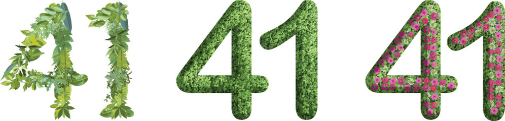 41, design made from green grass, leaves and flower, .suitable for birthday, anniversary and memorial day templates, go green concept