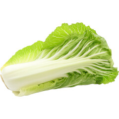 Chinese cabbage, background removed, png file.