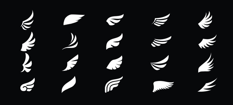 Set of white wing icons. Wings badges. Collection wings badges. Vector illustration.