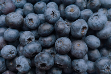 Many a lot of ripe juicy mature blueberries as superfood pattern.Healthy sweet food eating.