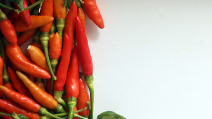 fresh red chilies on a white background