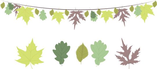 Set of fallen autumn leaves of oak, maple and tulip tree with partial shade on a white isolated background