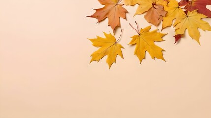 Fototapeta premium Top view of dry maple autumn leaves on pastel yellow background with ample copy space for text