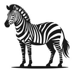 Clean Black and white Vector silhouette of a Zebra on white background