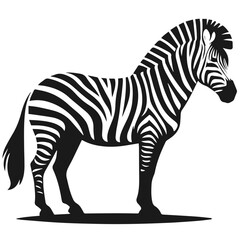 Clean Black and white Vector silhouette of a Zebra on white background