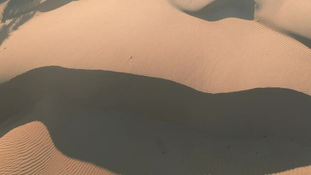 Aerial view of Desert Safari with sand dune in Dubai City, United Arab Emirates or UAE.