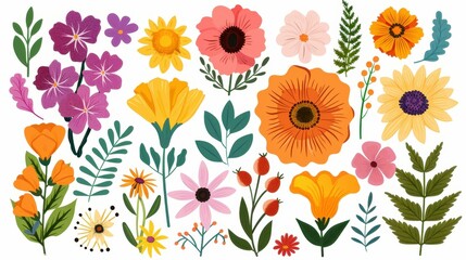 Detailed vector collection of wildflowers, herbs, and blooming flowers on a white background. Handdrawn botanical illustrations.