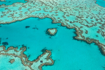 Heart Reef in the Great Barrier Reef off the coast of the Whitsundays 