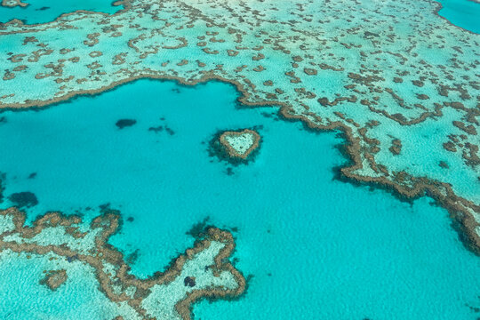 Heart Reef in the Great Barrier Reef off the coast of the Whitsundays 