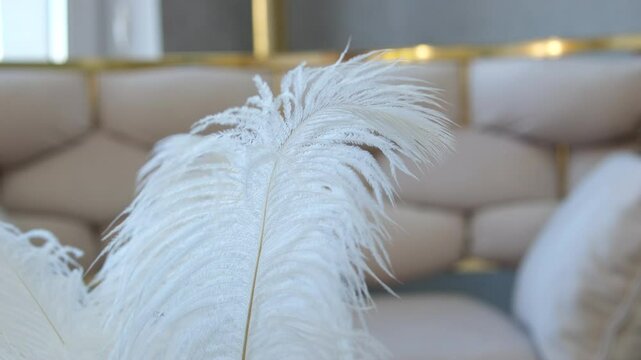 White feather decor. silver vase adorns the photo area and sways in the wind. Element of decor. Light air feather made of soft soft down.