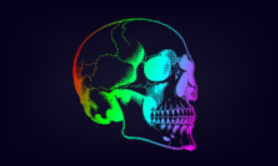 Vector iridescent halftone of a human skull. Texture from many dots. Dark isolated background.