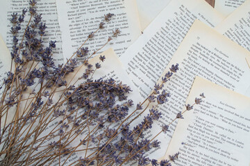 lavender in the desert