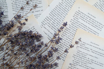 Lavender flowers, lavender on a background of book sheets background, with lavender flowers