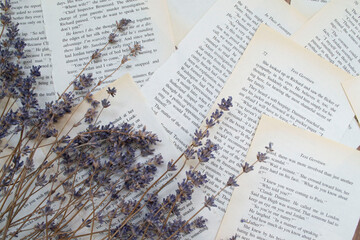 Lavender flowers, lavender on a background of book sheets background, with lavender flowers