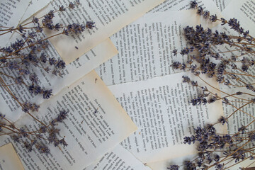 Lavender flowers, lavender on a background of book sheets background, with lavender flowers