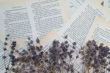 lavender on the table