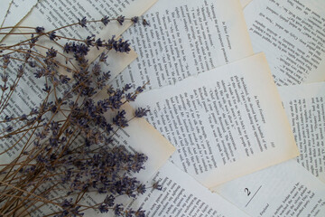 Lavender flowers, lavender on a background of book sheets background, with lavender flowers