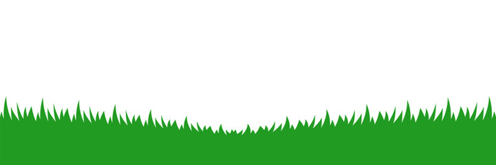 Fototapeta premium grass and meadow, grassland field, lawn