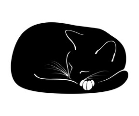 The sleeping cat. Black cat