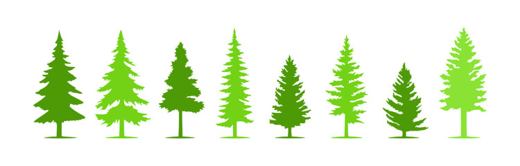 A row of green evergreen tree silhouettes isolated on white.