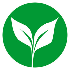 Green leaf icon on a white background. Vector illustration for your design