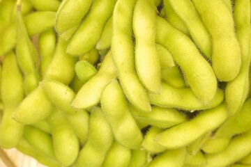 美味しそうな枝豆