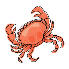 Crab isolated on transparent background. Crab vector illustration, perfect for wallpaper or design elements