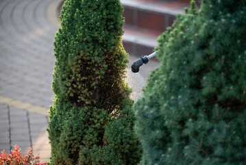 Treatment of the Christmas tree plant from ticks and other diseases