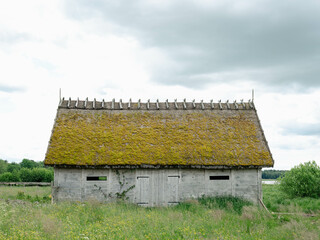 Traditional Swedish wooden barn. Unpainted with straw roofing and moss on roof. Standing in pasture land with summer flowers