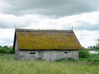 Traditional Swedish wooden barn. Unpainted with straw roofing and moss on roof. Standing in pasture land with summer flowers