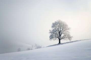 A Solitary Tree Stands Tall Against a Misty Winter Landscape