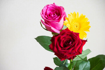 薔薇とガーベラ