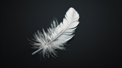 Obraz premium A photorealistic, high-resolution close-up of a white feather set against a black background. Generative AI