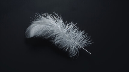 Obraz premium A photorealistic, high-resolution close-up of a white feather set against a black background. Generative AI