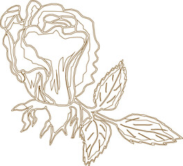 Vector silhouette illustration sketch, detailed design, rose flower, ornament, icon, symbol of love for your beloved partner
