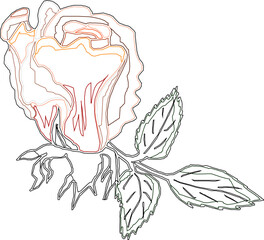 Vector silhouette illustration sketch, detailed design, rose flower, ornament, icon, symbol of love for your beloved partner 