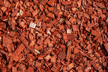 Red lawn chips of different sizes, background texture.