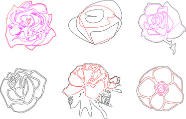 Sketch illustration silhouette vector drawing detail design rose flower decoration ornament icon symbol love shape