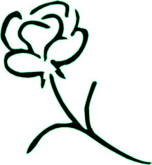 Vector silhouette illustration sketch, detailed design of a rose, ornament, icon, symbol of love for your beloved partner
