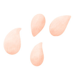 Seeds, cultivated seeds, strawberry seeds