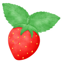 Strawberry fruit