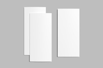 DL Bifold Brochure Blank Mockup