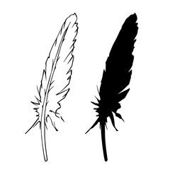 Obraz premium Linear sketch, outline, silhouette, bird feather stamp. Vector graphics.